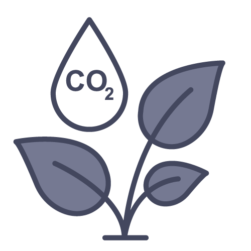 Solvent-Free CO₂ Extraction