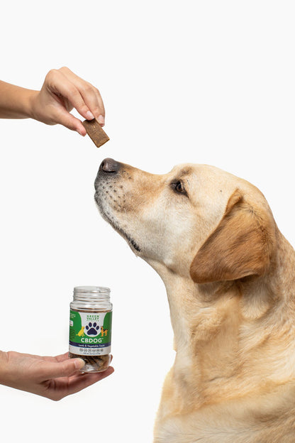 CBDog™ Treats Lamb & Vegetables Recipe